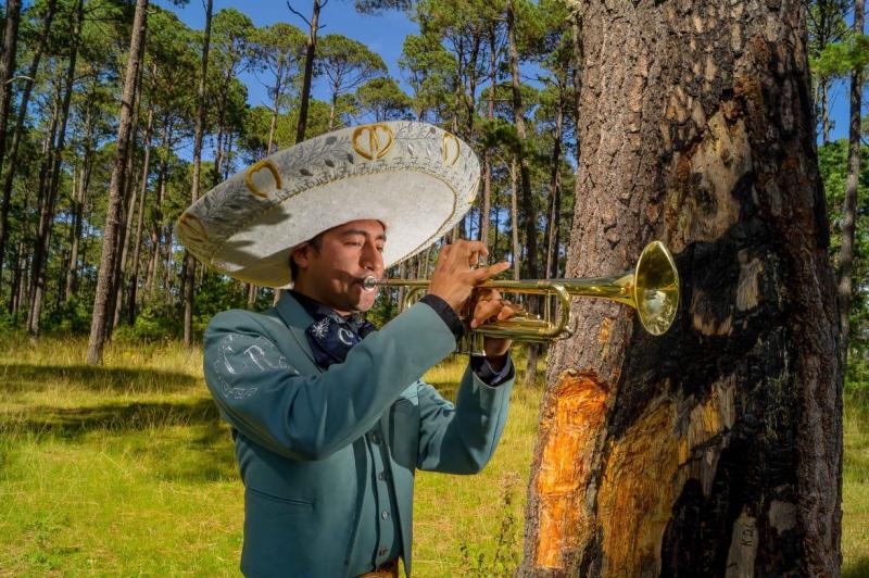 Mariachi en Ciudad de Apizaco - Mariachi Noche Azul